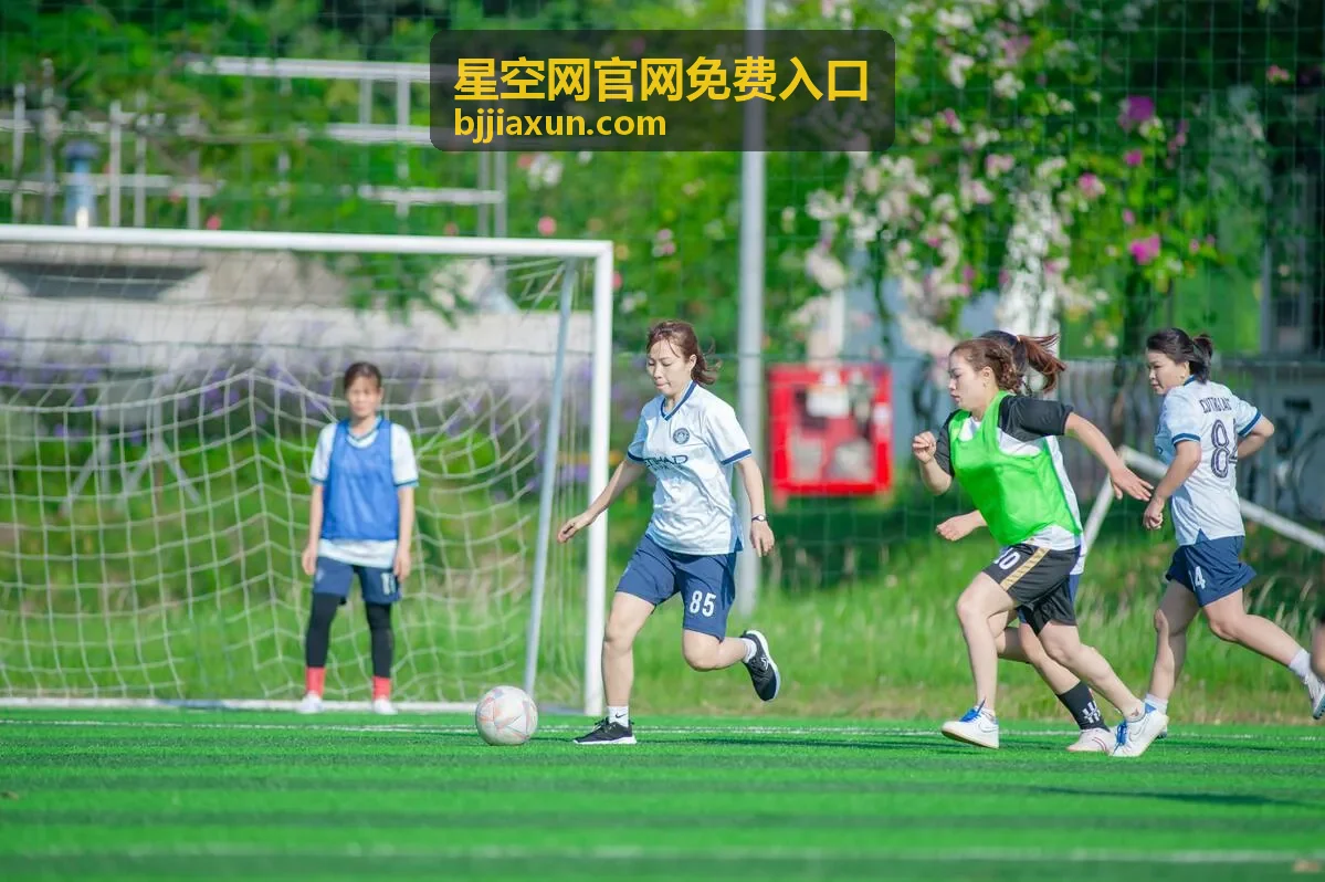 免费通道指南分类入口
