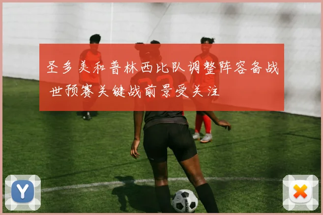 圣多美和普林西比队调整阵容备战 世预赛关键战前景受关注