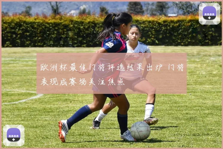 欧洲杯最佳门将评选结果出炉 门将表现成赛场关注焦点