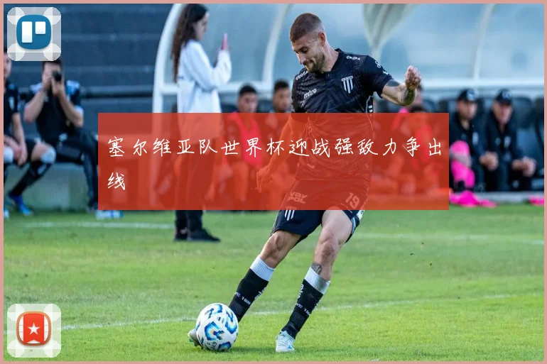 塞尔维亚队世界杯迎战强敌力争出线